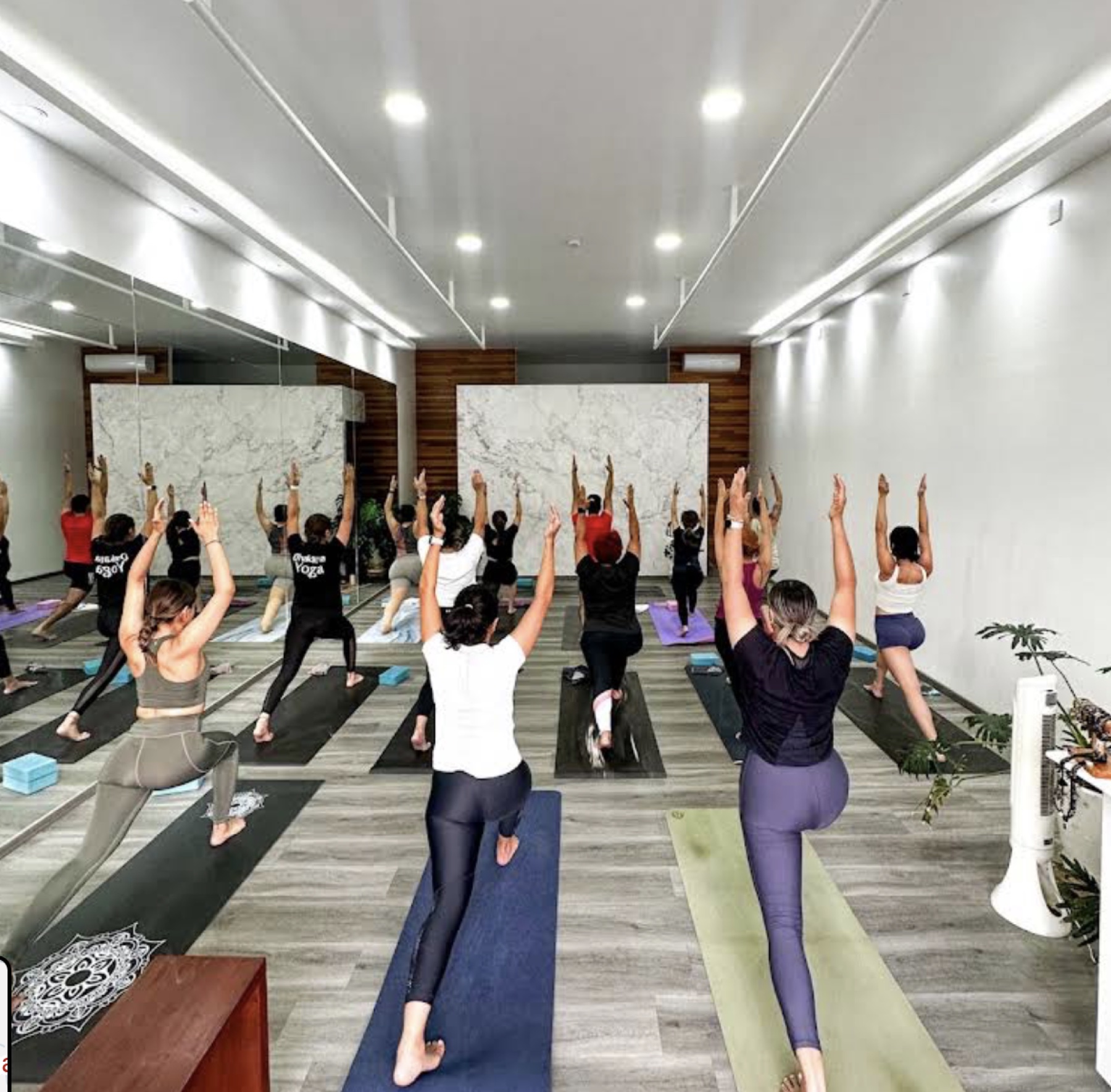 Práctica grupal de equilibrio en Dhakatha Yoga