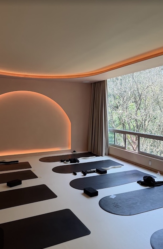 Sala de FIRA Wellness Club con ventanales y vista a los árboles