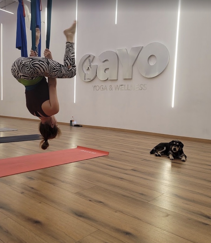 Práctica con telas en Gayo Yoga & Wellness