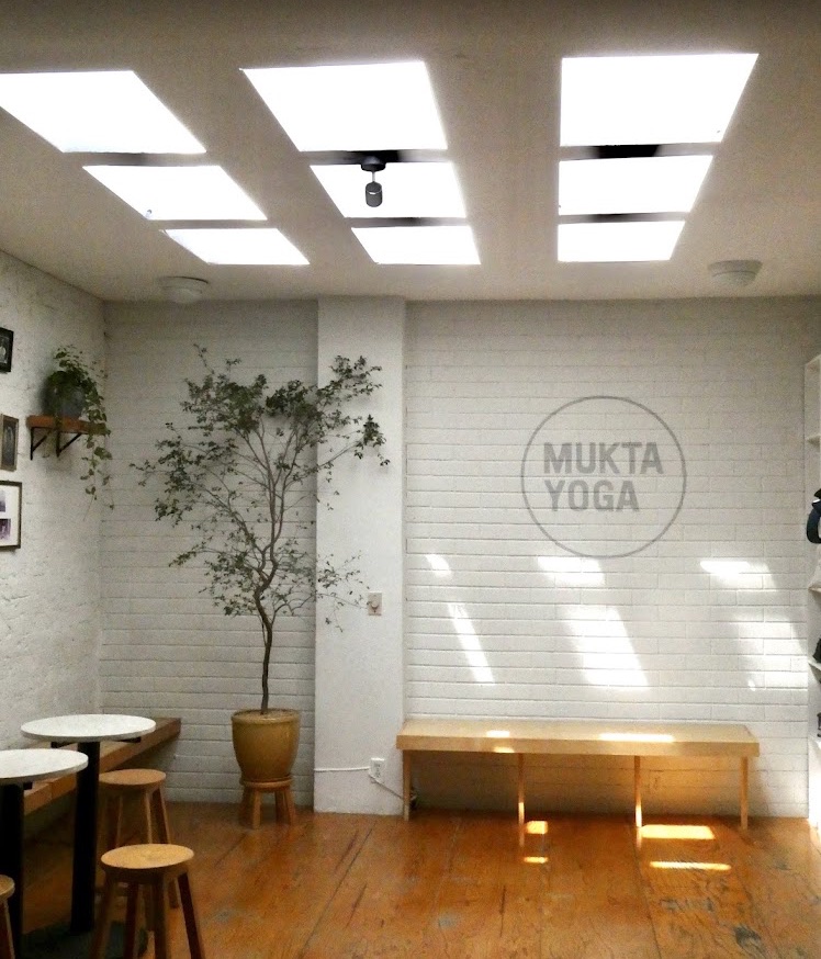 Recepción de Mukta Yoga con luz natural, plantas y banca de madera